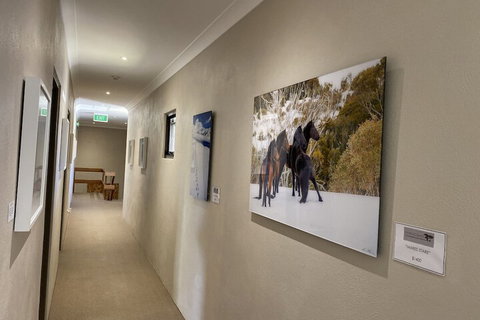 Jindy Inn - Sydneys Hotel 1