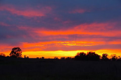 Centretown Motel Nagambie - Sydneys Hotel 0
