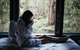 Woodlands Rainforest Retreat - thumb 5