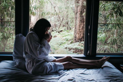 Woodlands Rainforest Retreat - Sydneys Hotel 5