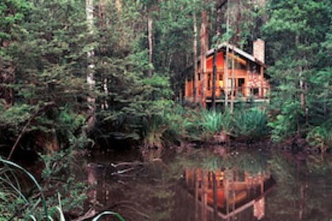 Woodlands Rainforest Retreat - Sydneys Hotel 0