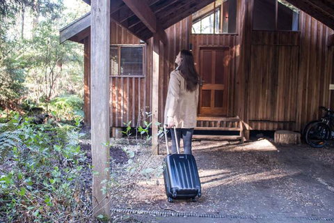 Woodlands Rainforest Retreat - Sydneys Hotel 1