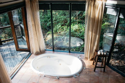 Woodlands Rainforest Retreat - Sydneys Hotel 7