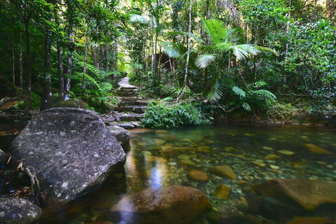 Daintree Cascades - Sydneys Hotel 2