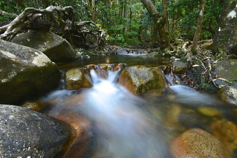 Daintree Cascades - Sydneys Hotel 1