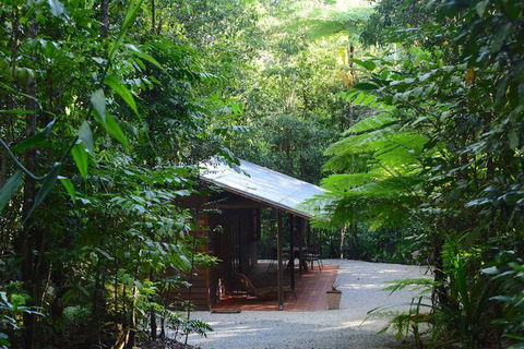 Daintree Cascades - Sydneys Hotel 3