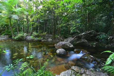 Daintree Cascades - Sydneys Hotel 5