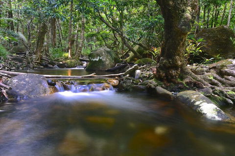 Daintree Cascades - Sydneys Hotel 6