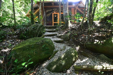 Daintree Cascades - Sydneys Hotel 7