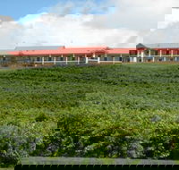 Turners Vineyard Motel and Function Centre - Sydneys Hotel