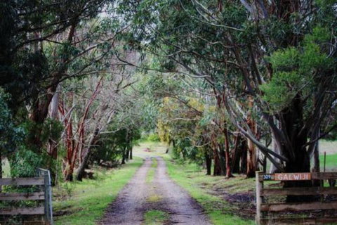 Galwiji Homestead - Sydneys Hotel 7
