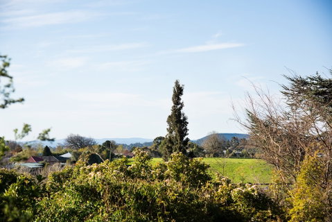 Botanica - Sydneys Hotel 0