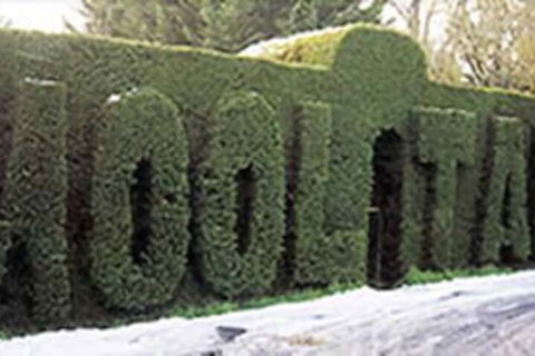 Mooltan House-hepburn Springs - Sydneys Hotel 0