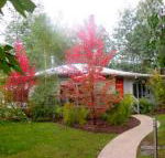 Dalrymples Guest Cottages - Sydneys Hotel