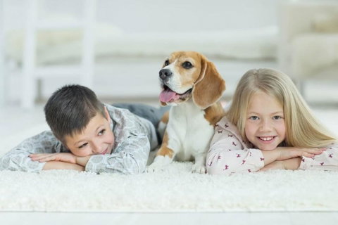 BOUTIQUE STAYS - Roxys Place - Sydneys Hotel 4