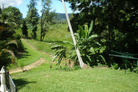 Daintree Village Hideaway - Sydneys Hotel 5