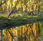 On The Banks - Sydneys Hotel