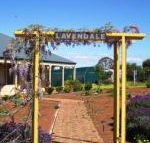 Lavendale Farmstay  Cottages York - Sydneys Hotel