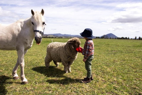Taras Richmond Farmstay - Sydneys Hotel 0