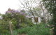 Corinella Country House - thumb 1