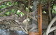 The Beachside Cottages - thumb 4