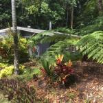 Kuranda QLD Sydneys Hotel