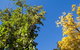 Strayleaves Caravan Park - thumb 4
