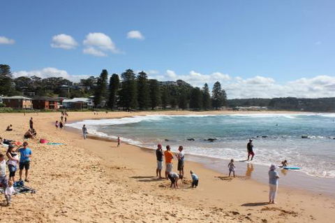 Avoca Beach Cape Cottage - Sydneys Hotel 6