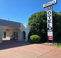 Citrus Motel - Sydneys Hotel