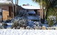 Snowdream Motel - thumb 0