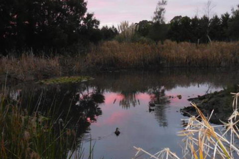 Bunjil Farm - Sydneys Hotel 7
