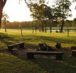 Wallaby Cottage cute Accom in bushland setting - Sydneys Hotel