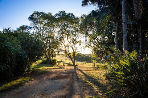 Hillview Cottages - Sydneys Hotel 0