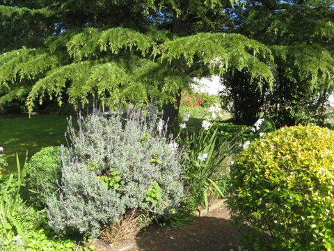 The Grove Cottages - Sydneys Hotel 7