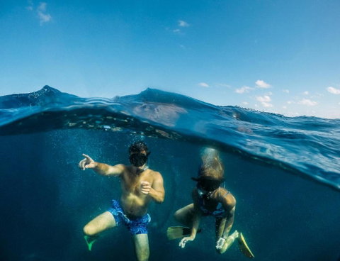 Manta Lodge YHA & Scuba Centre - Sydneys Hotel 6