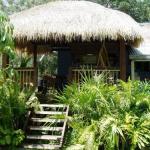 Mango Tourist Hostel - Sydneys Hotel 0
