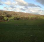 Mancuso Country Cottage Retreat - Sydneys Hotel