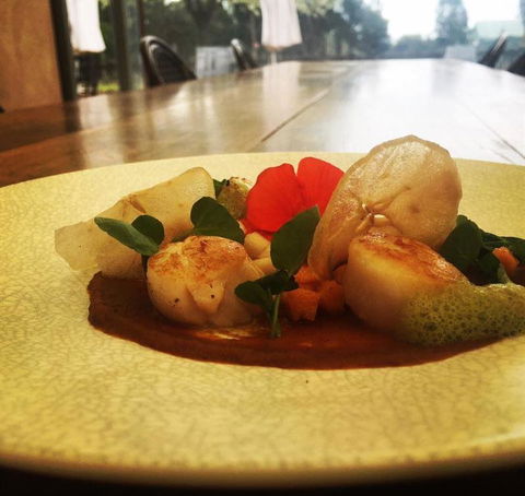 Au Pear - Sydneys Hotel 8