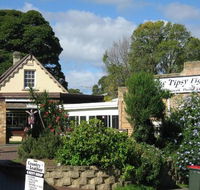 Tipsy Fig - Sydneys Hotel