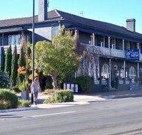 Coachwood  Cedar Motor Hotel Restaurant - Sydneys Hotel