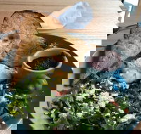 Caffe Cherry Beans Canberra Centre - Sydneys Hotel