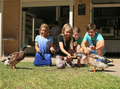 Arkarra Gardens Cafe And Restaurant - Sydneys Hotel 2