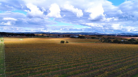 Schubert Estate - Sydneys Hotel 0