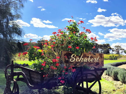 Schubert Estate - Sydneys Hotel 2