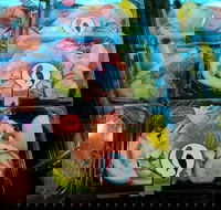 Sushi Sushi - Helensvale - Sydneys Hotel