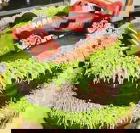 Runaway Cupcakes - Sydneys Hotel