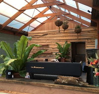 Native Home House of Plants - Sydneys Hotel