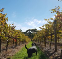 Ruddenklau Wines - Sydneys Hotel