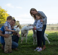 Sunhill Dairy Goats and Sunhill Skin Essentials - Sydneys Hotel