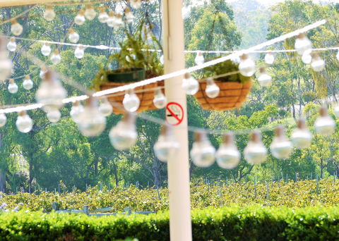 The Red Apron - Sydneys Hotel 0